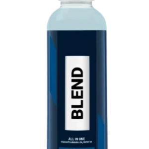 BLEND ALL IN ONE 500ML